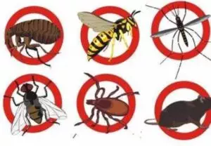 طرق الوقاية من الحشرات